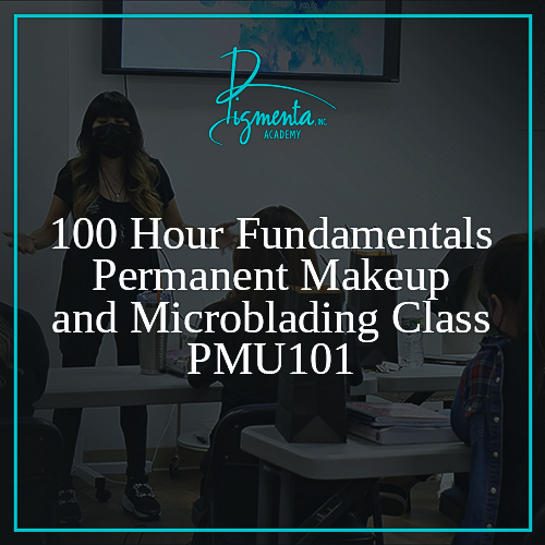 100 Hour Fundamentals Permanent Makeup and Microblading Class PMU101