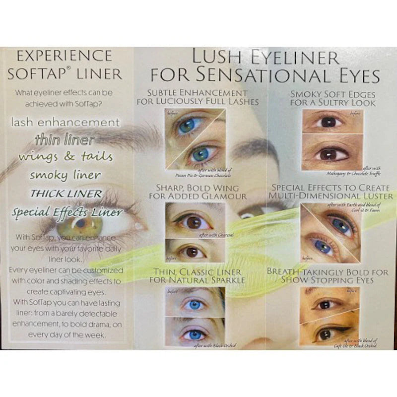 Brow Brochure