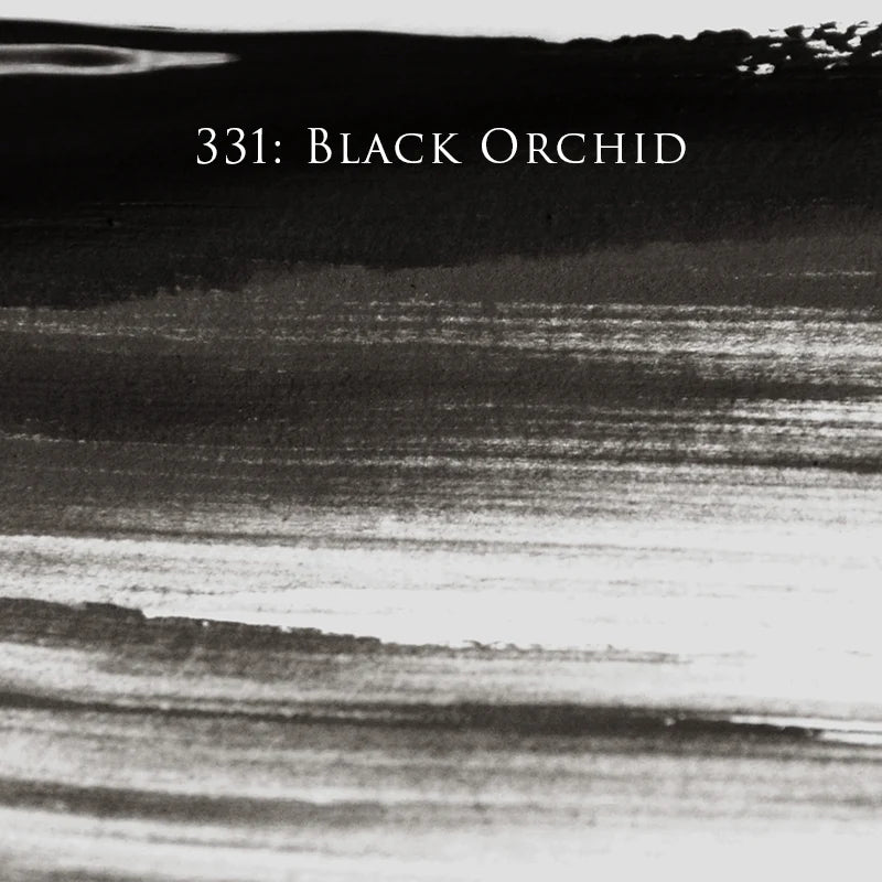 331 | Black Orchid